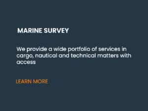 Marine-Survey